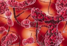 диагностика болезней сердца и сосудов сквозь кожу