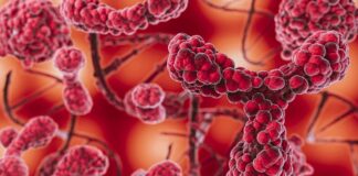 диагностика болезней сердца и сосудов сквозь кожу