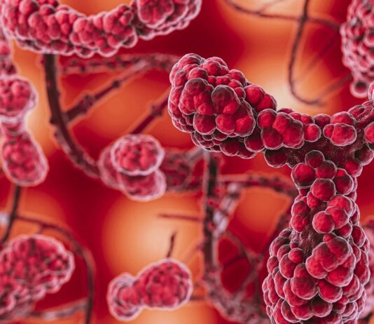 диагностика болезней сердца и сосудов сквозь кожу