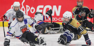 В Дзержинске завершился чемпионат России по следж-хоккею в дивизионе «Лига героев»